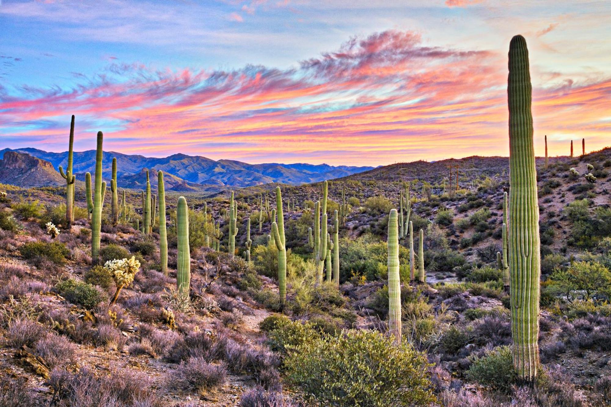 Clubgate Villa&Kierland Escape Scottsdale Cameră foto